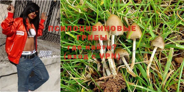 сатива Абдулино