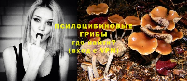 spice Алексин
