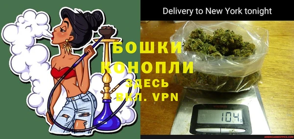 гидра Абаза