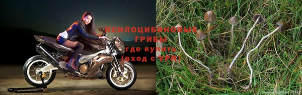 ECSTASY Навашино