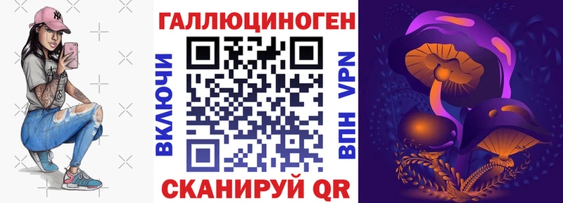 МЕГА маркетплейс  Тайга  Галлюциногенные грибы Psilocybine cubensis  купить  цена 
