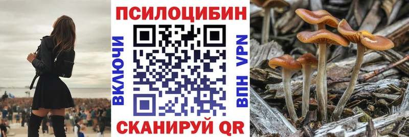 Псилоцибиновые грибы MAGIC MUSHROOMS Тайга
